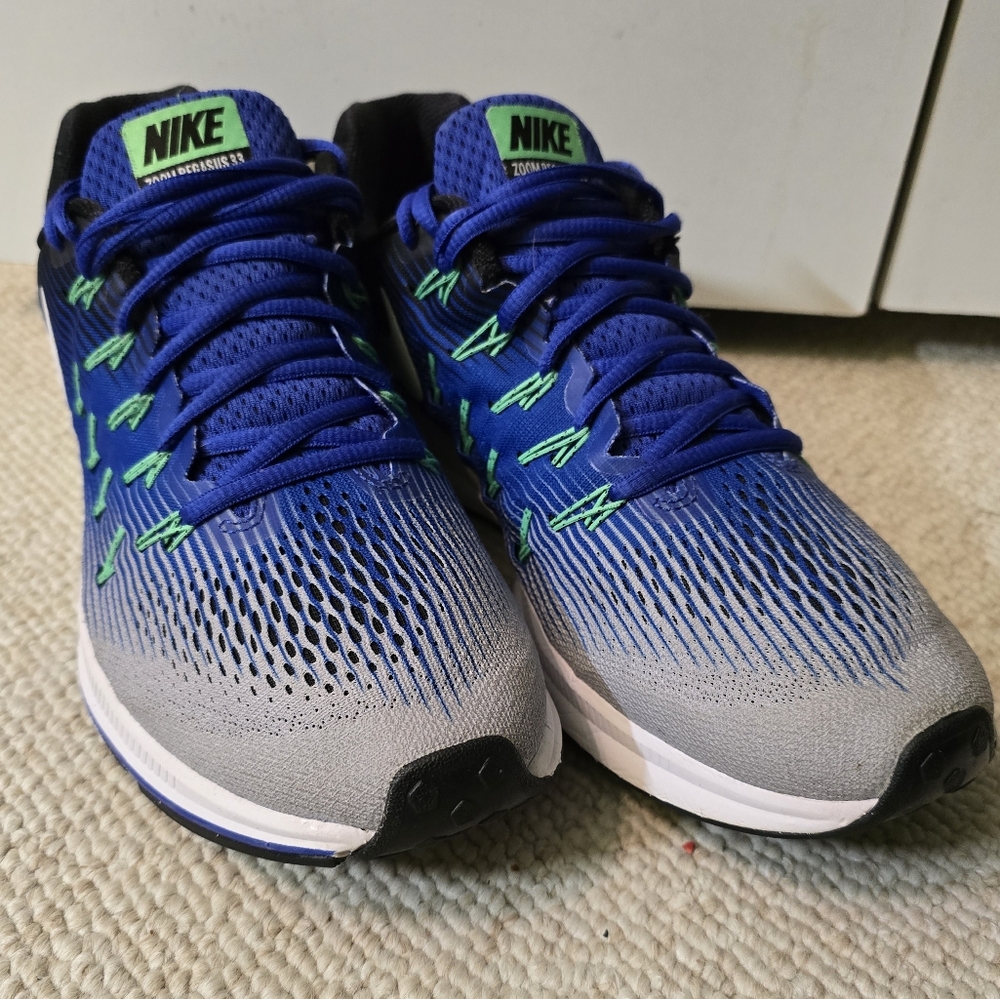 Men's Nike Zoom Pegasus 33